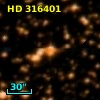 HD 316401