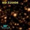 HD 316404