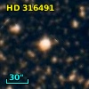 HD 316491