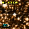 HD 316526