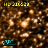 HD 316529