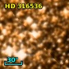 HD 316536