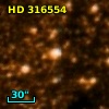 HD 316554