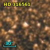 HD 316561