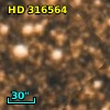 HD 316564