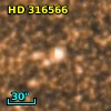 HD 316566