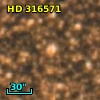 HD 316571