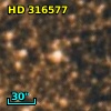 HD 316577