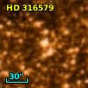 HD 316579