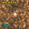 HD 316593