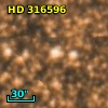 HD 316596