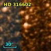 HD 316602