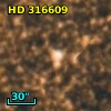 HD 316609