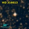 HD 316613