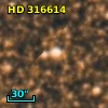 HD 316614