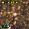 HD 316616