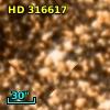 HD 316617