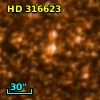 HD 316623