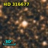 HD 316677