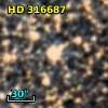 HD 316687