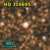 HD 316695