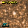 HD 316831