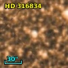 HD 316834