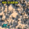 HD 316854