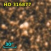 HD 316877
