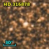 HD 316878