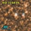 HD 316879