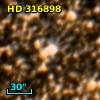 HD 316898