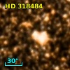 HD 318484