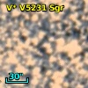 V* V5231 Sgr