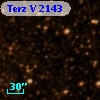 Terz V 2143