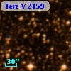 Terz V 2159