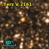 Terz V 2161