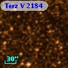 Terz V 2184