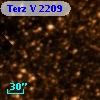 Terz V 2209