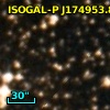ISOGAL-P J174953.8-291925