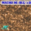 MACHO 96-BLG-s10