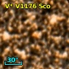 V* V1176 Sco