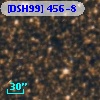 [DSH99] 456-8