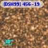 [DSH99] 456-19