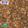 V* V5214 Sgr