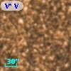 V* V5216 Sgr