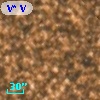 V* V5224 Sgr