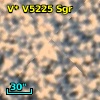 V* V5225 Sgr