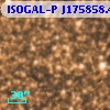 ISOGAL-P J175858.4-285636