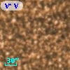 V* V5251 Sgr